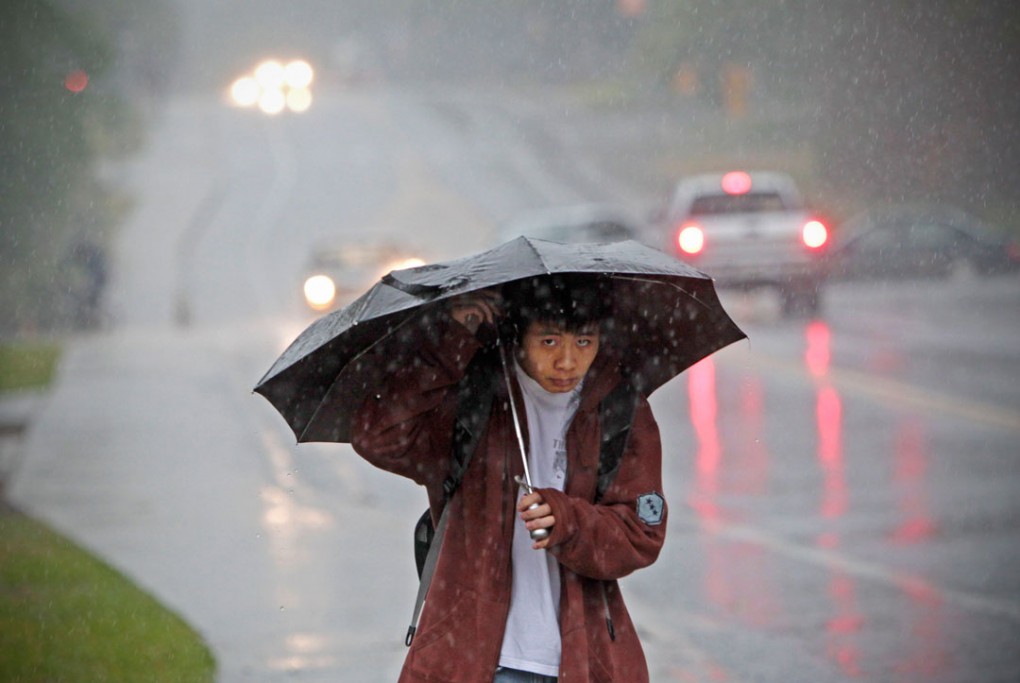 Umbrella + Background