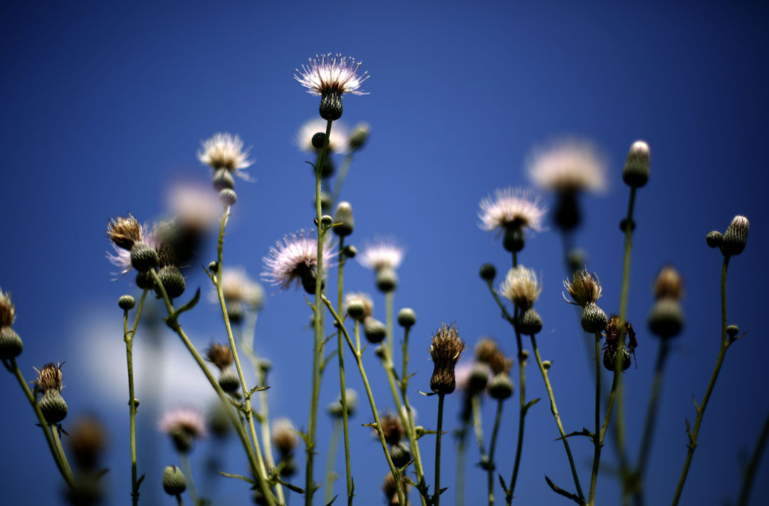 ParentsandCrescent_10