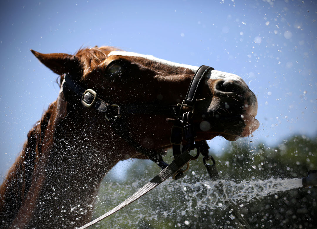 ParentsandCrescent_14