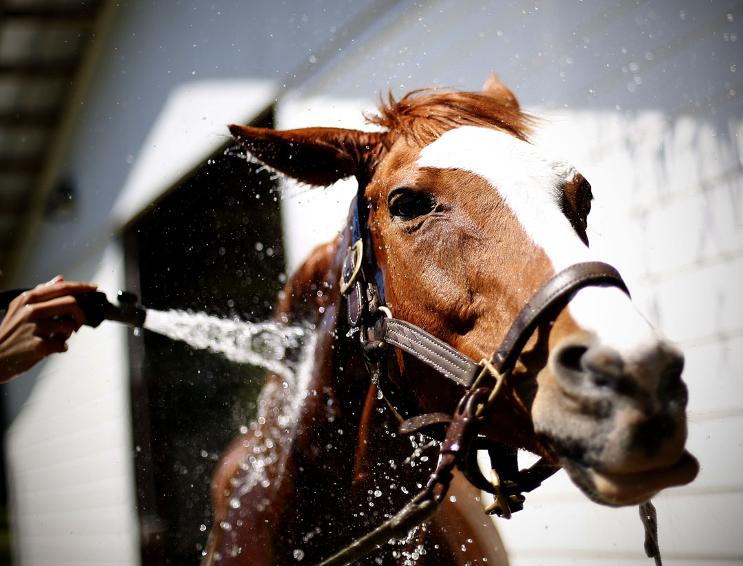 ParentsandCrescent_15