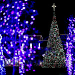 XmasinMHK39