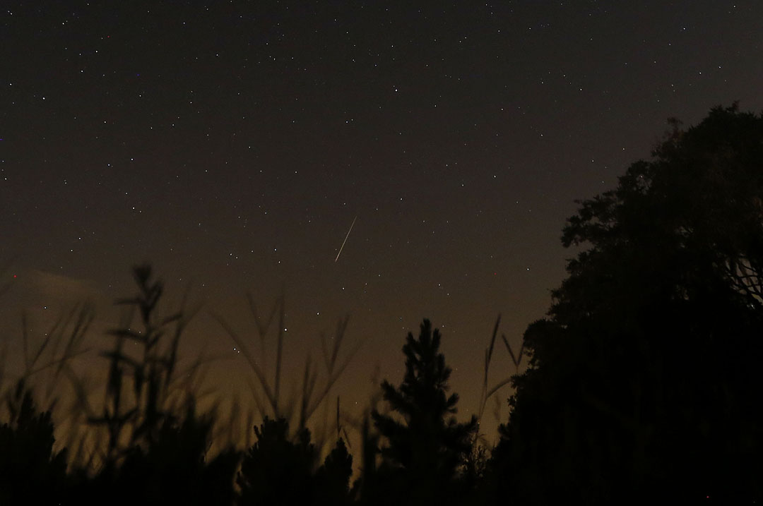 A meteor streaks across the sky early in the morning on Wednesday, August 12, 2015 in Gainesville, Fla. The Perseid meteor shower happens every year when the earth passes through the orbital path of the comet Swift-Tuttle. You don't need any special equipment to view the meteor shower. The best time to view the meteors are the hours just before sunrise on Thursday and Friday. With no or a crescent moon in the sky, experts predict as many at 50 or more meteors per hour can be seen. (Matt Stamey/Staff photographer)
