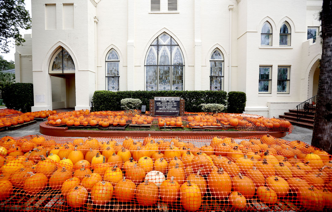 Pumpkins are seen under fencing outside the First United Methodist Church as Hurricane Matthew approaches on Thursday, Oct. 6, 2016 in St. Augustine, FL. Matt Stamey/Gainesville Sun