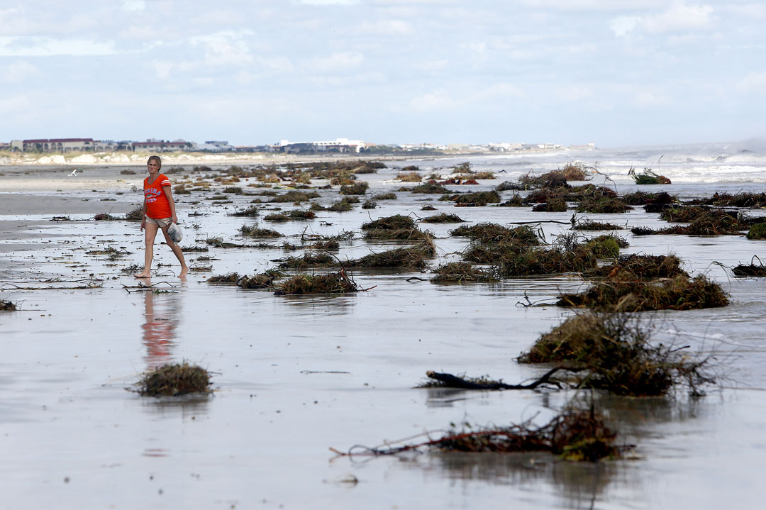 A woman walks past debris along Crescent Beach after Hurricane Matthew on Friday, Oct. 8, 2016 in St. Augustine, FL. Matt Stamey/Gainesville Sun