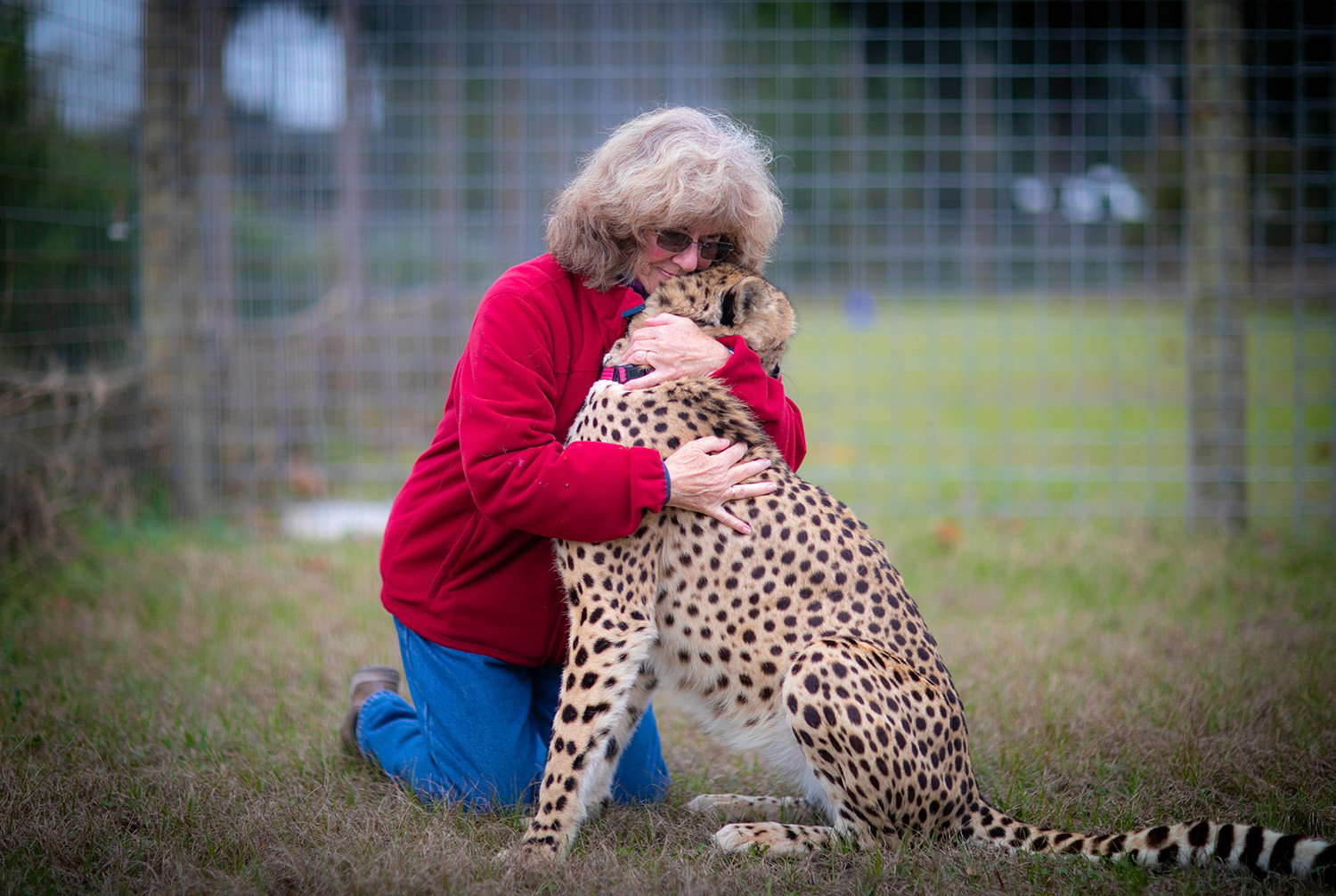 Santa Fe College Women of Distinction honoree Christine Janks photographed at Carson Springs Wildlife Sanctuary  on Jan. 23, 2020 in Gainesville, Fla.  (Matt Stamey/Santa Fe College ) ***Subjects Have Releases***