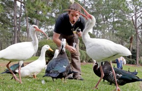 Feeding ducks and birds at a pond in Gainesville. 